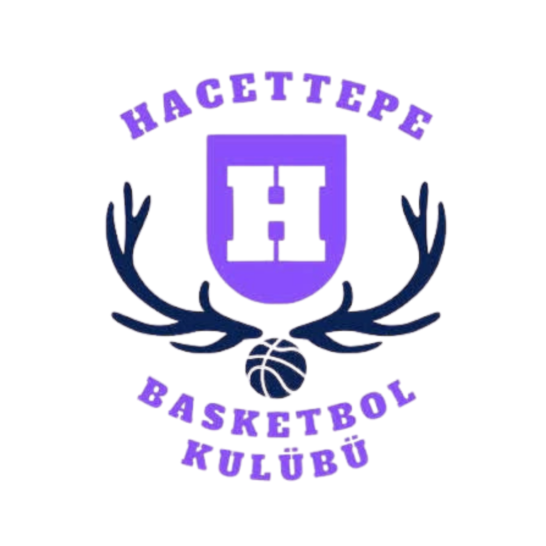 Hacettepe logosu